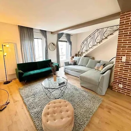 Extraordinary Duplex In Paris Apartment